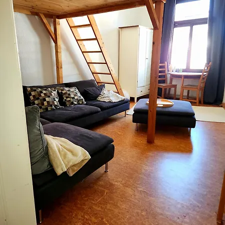 Grosszuegige In Leipzig-schleussig Mit Balkon Und Suedgartenblick Лейпциг