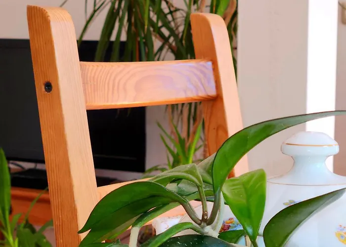 Apartmán Grosszuegige In Leipzig-schleussig Mit Balkon Und Suedgartenblick *